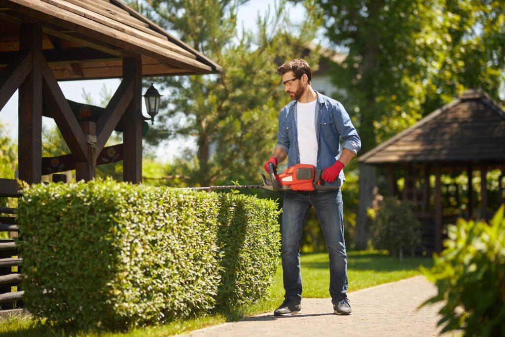 Landscaping Tips for Easy Home Upkeep