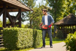 Landscaping Tips for Easy Home Upkeep