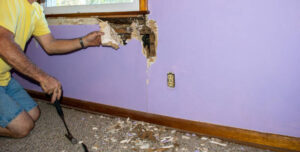 Preventing Termite Damage in Florida Homes
